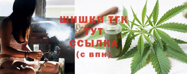бошки Мегион