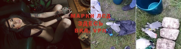 дмт Медногорск
