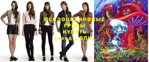 дмт Медногорск