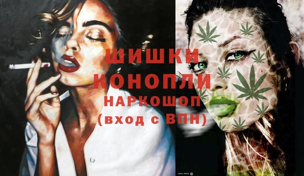 бошки Мегион