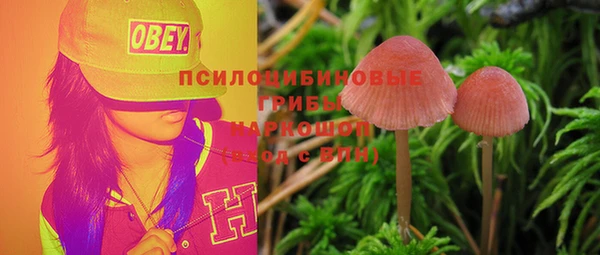 бошки Мегион