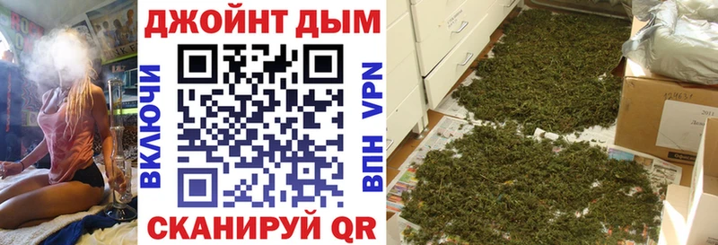 Конопля план  даркнет Telegram  Нефтегорск  где найти наркотики  ссылка на мегу ссылки 
